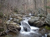 Anna Ruby Falls