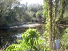 Little Manatee River
