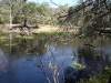 Withlacoochee River along the low water trail