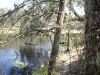 Withlacoochee River along the low water trail