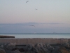 Beach pictures
