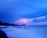 Beach pictures