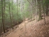 Bear Hair Gap Trail