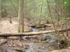 Bear Hair Gap Trail