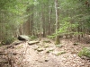 Bear Hair Gap Trail