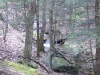 Bear Hair Gap Trail