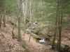 Bear Hair Gap Trail