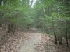 Bear Hair Gap Trail