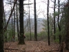 Bear Hair Gap Trail