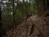 Bear Hair Gap Trail