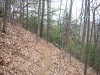 Bear Hair Gap Trail