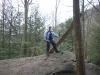 Bear Hair Gap Trail