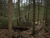 Bear Hair Gap Trail