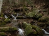 Bear Hair Gap Trail