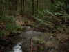 Bear Hair Gap Trail