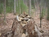 Bear Hair Gap Trail