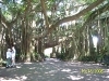 Cypress Gardens in Oct.