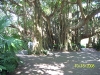 Cypress Gardens in Oct.