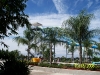 Cypress Gardens in Oct.