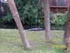 Cypress Gardens