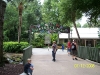 Cypress Gardens