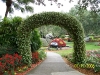 Cypress Gardens
