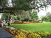 Cypress Gardens