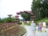 Cypress Gardens