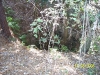 Falling Waters State Park
