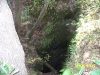 Falling Waters State Park