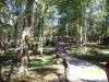 Florida Caverns State Park