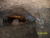 Florida Caverns State Park