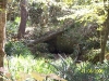 Florida Caverns State Park