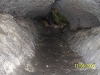 Florida Caverns State Park