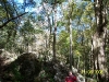 Florida Caverns State Park