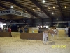 Florida State Fair