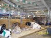 Florida State Fair