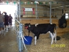 Florida State Fair