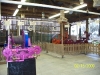 Florida State Fair