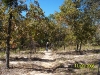 Garden of Eden Trail