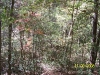 Garden of Eden Trail