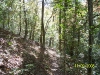 Garden of Eden Trail