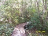 Garden of Eden Trail
