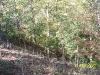 Garden of Eden Trail