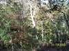 Garden of Eden Trail