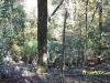 Garden of Eden Trail