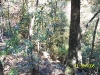 Garden of Eden Trail
