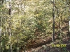 Garden of Eden Trail