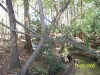 Garden of Eden Trail