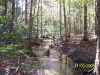 Garden of Eden Trail